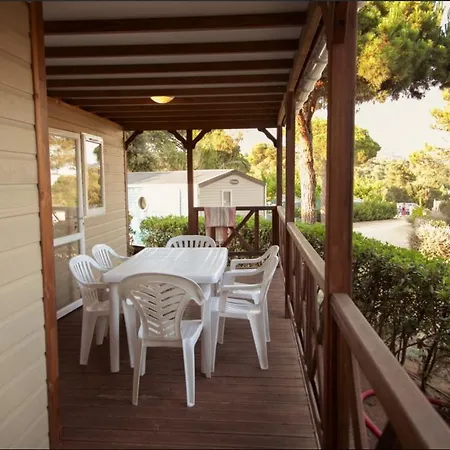 Senia Tucan Kamp alanı