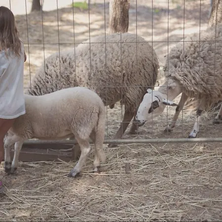 Senia Tucan 2* יורט דה מאר