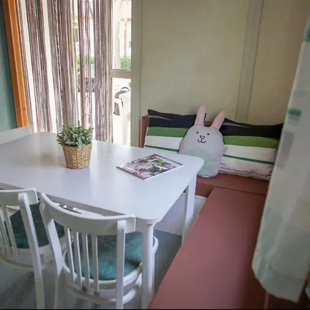 Senia Tucan Kamp alanı