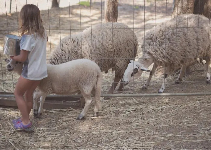 Senia Tucan 2* Lloret de Mar